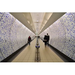 The Tube - Digigraphie